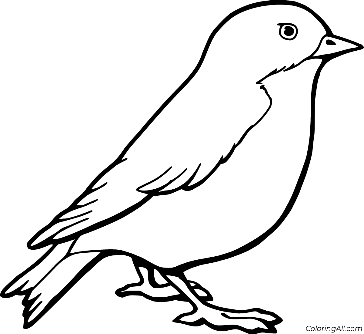 Robin Coloring Pages - ColoringAll