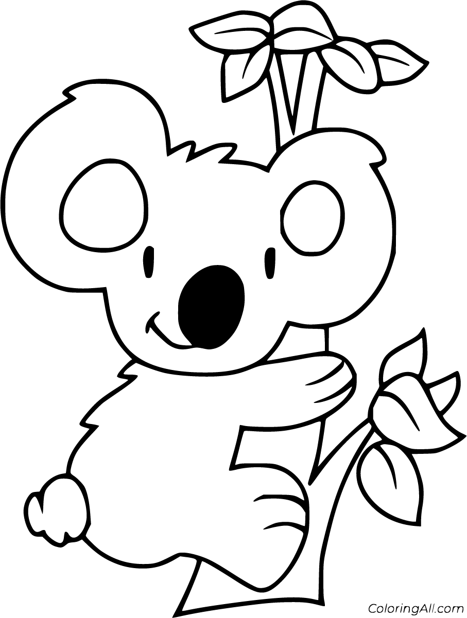 Koala Coloring Pages   ColoringAll