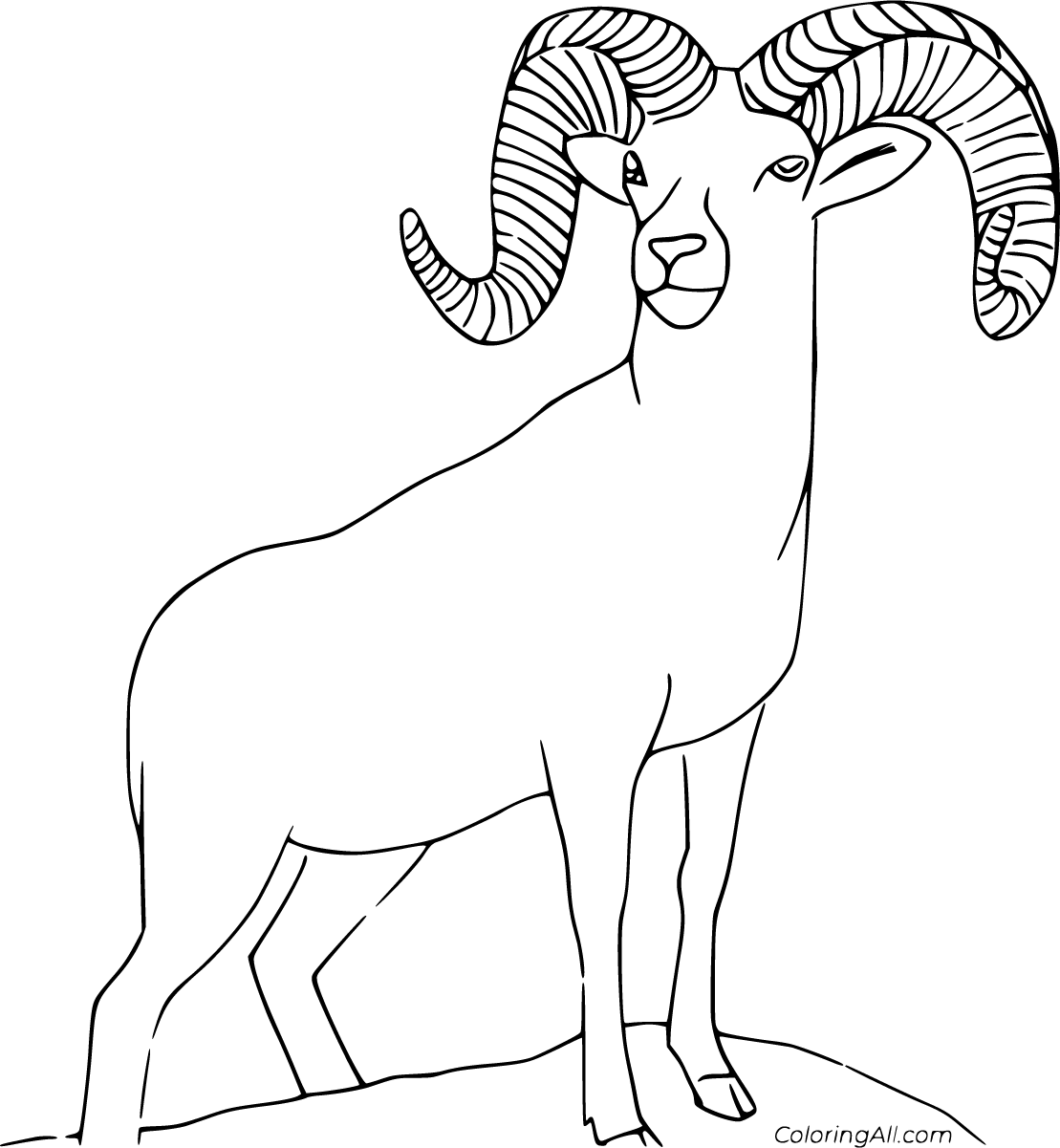 Bighorn Sheep Coloring Pages ColoringAll