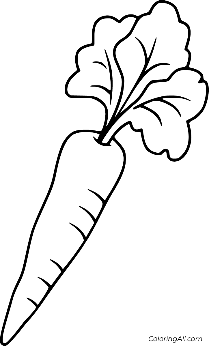 Carrot Coloring Pages - ColoringAll