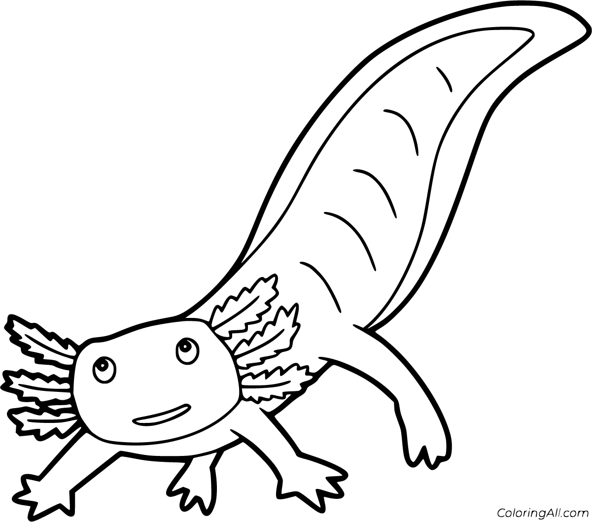Axolotl Coloring Pages   ColoringAll