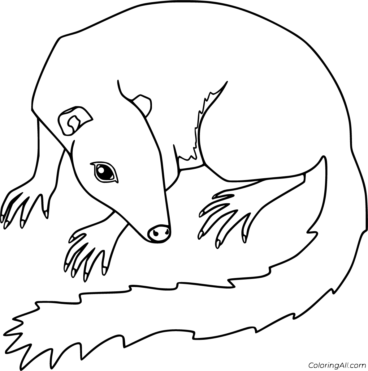 Treeshrew Coloring Pages (2 Free Printables) - ColoringAll