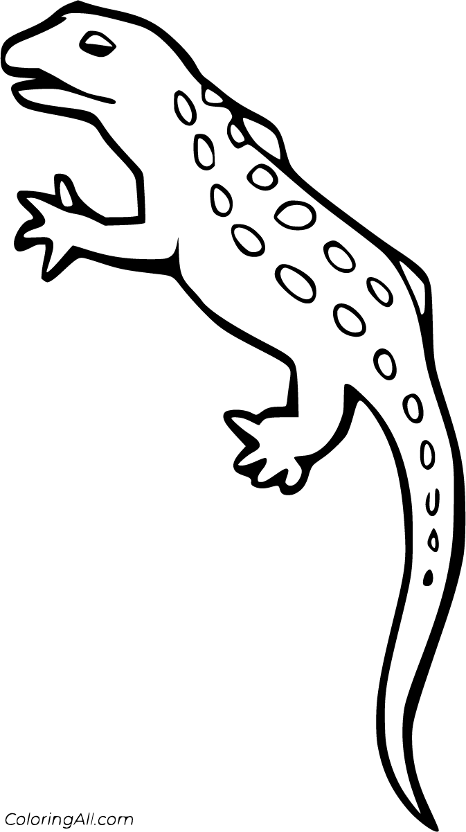 How To Draw A Bearded Dragon, Bearded Dragon Lizard, Step by Step, Drawing  Guide, by Dawn - DragoArt