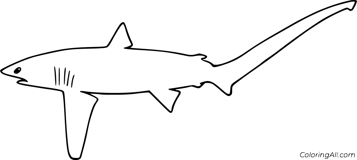 Thresher Shark Coloring Pages - ColoringAll