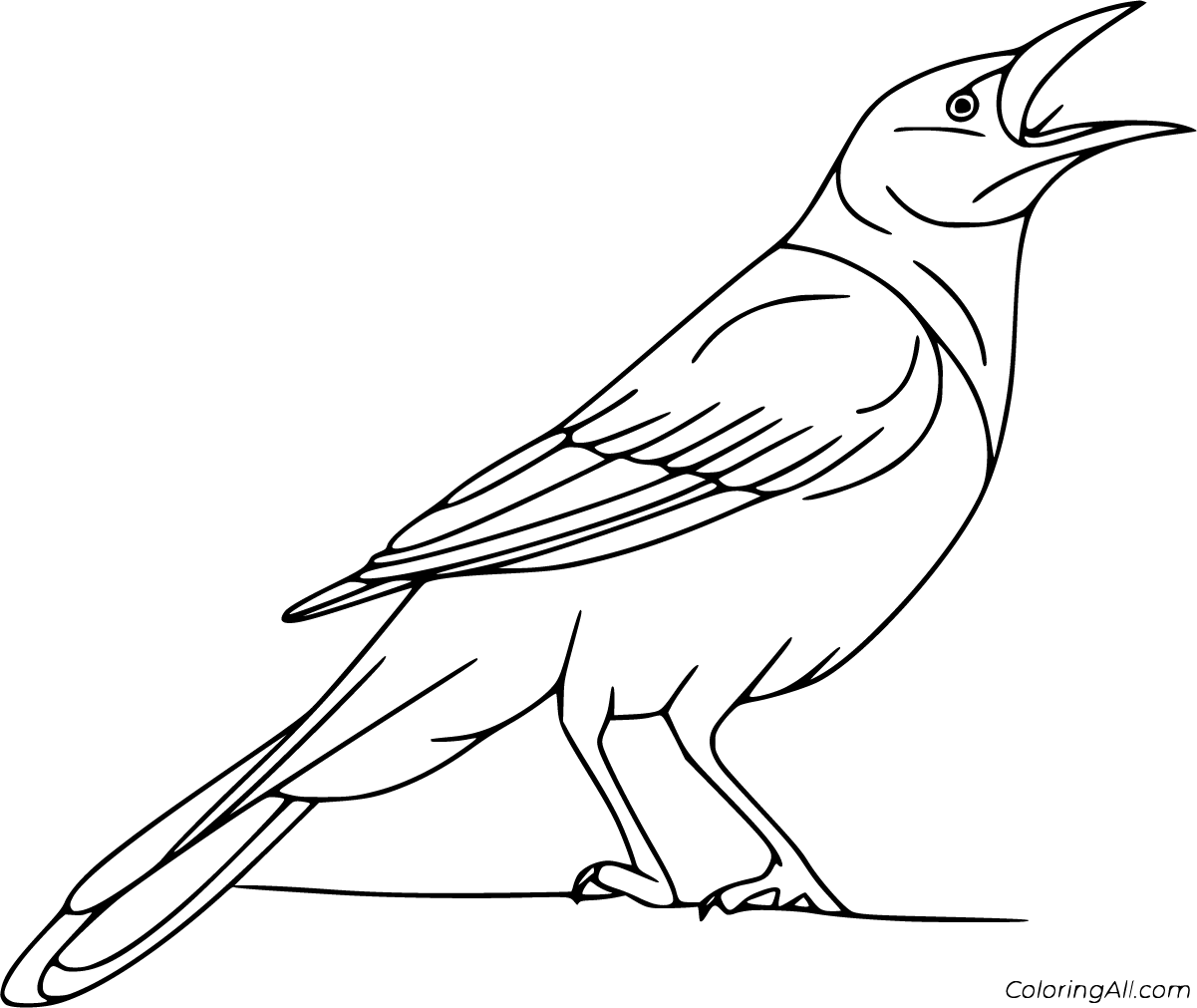 211 Simple Crow Coloring Page with Printable