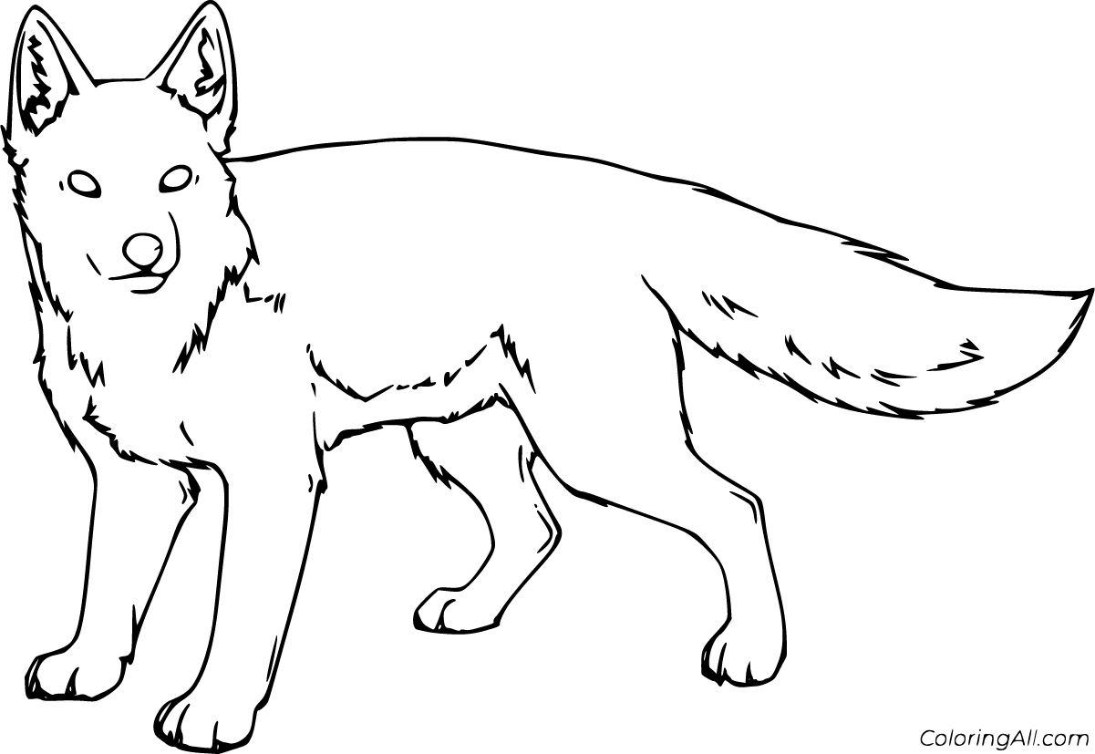 Realistic Fox Coloring Pages (20 Free Printables) - ColoringAll