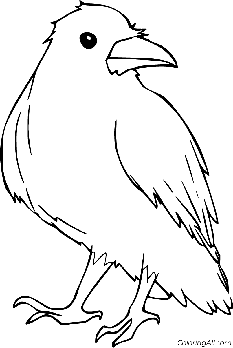 Raven Coloring Pages - ColoringAll