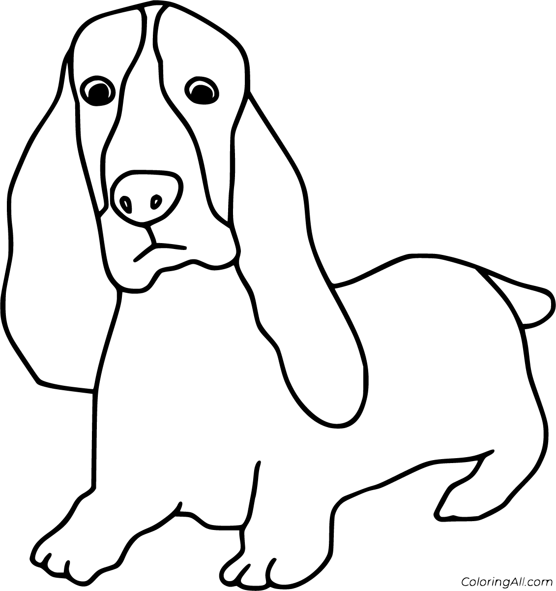 Basset Hound Coloring Pages (15 Free Printables) - ColoringAll