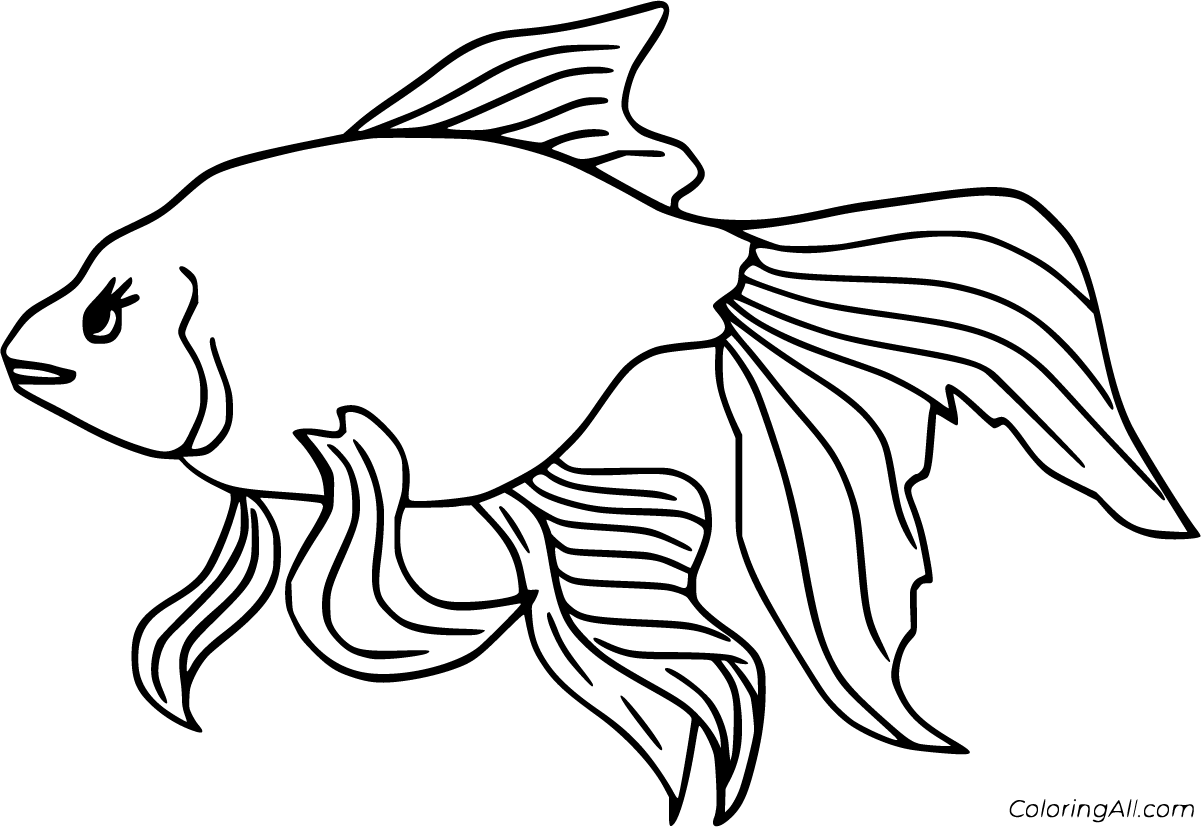 Betta Coloring Pages - ColoringAll