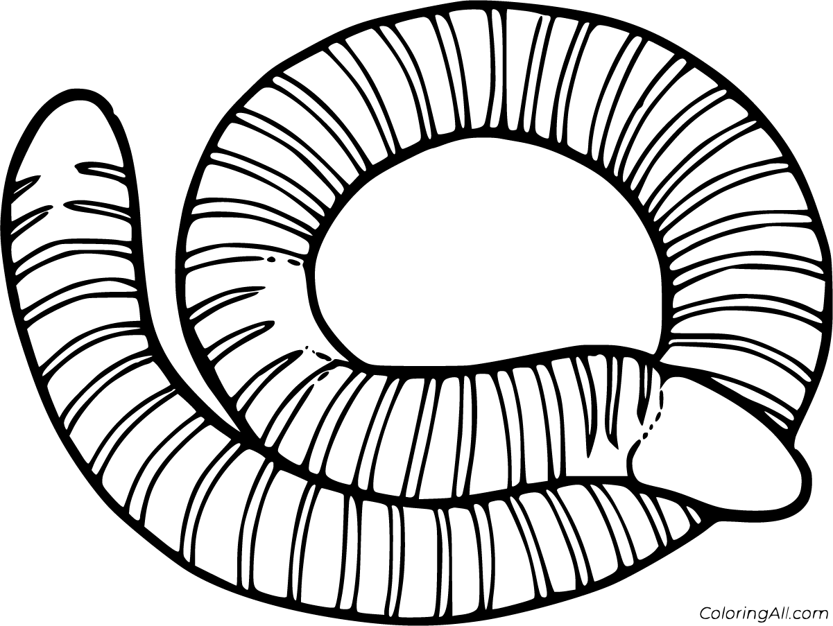 Caecilian Coloring Pages (3 Free Printables) - ColoringAll