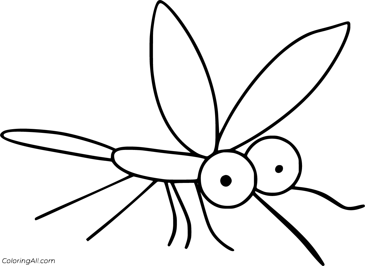 dengue mosquito coloring page