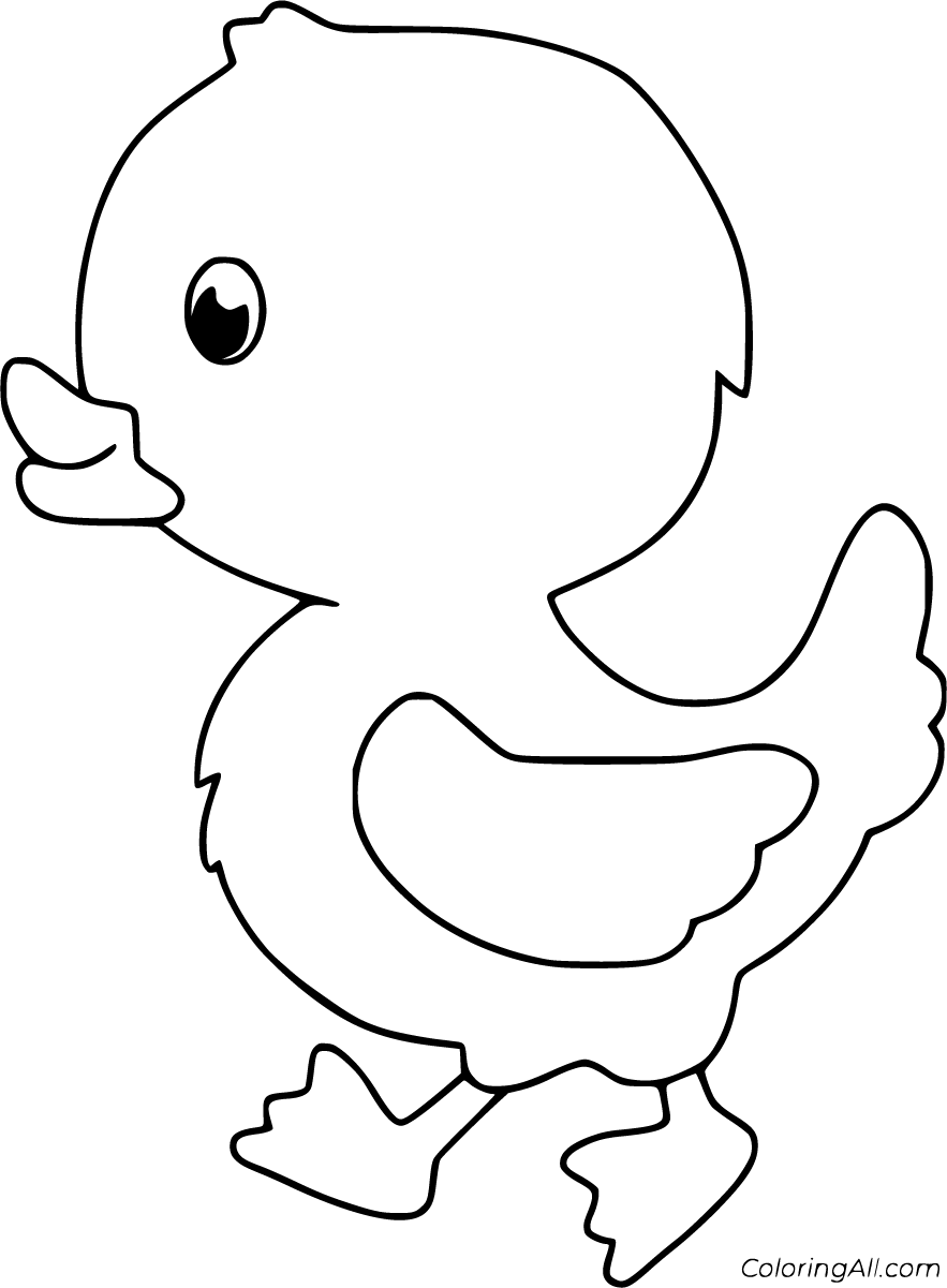 Download Duckling Coloring Pages - ColoringAll