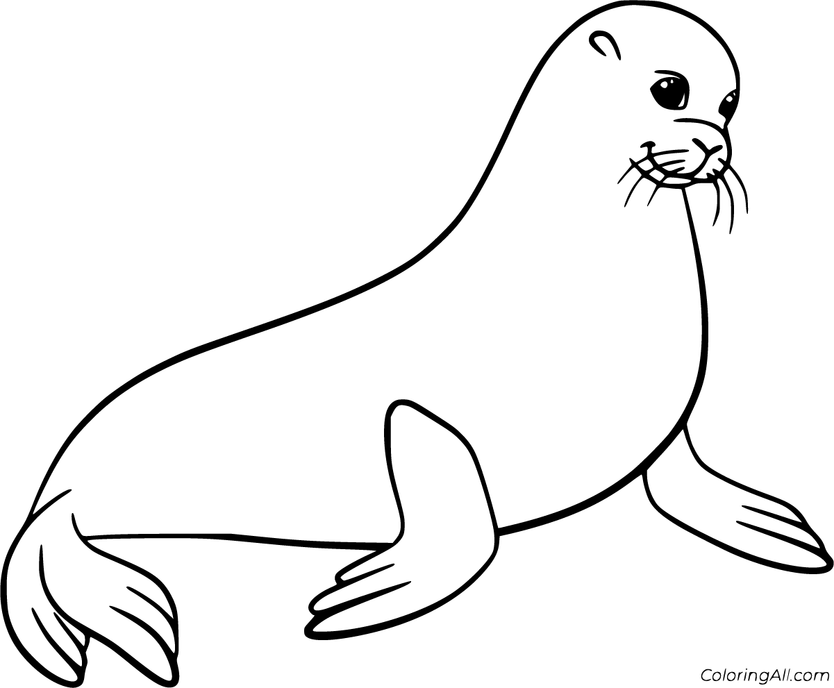 Sea Lion Coloring Pages - ColoringAll