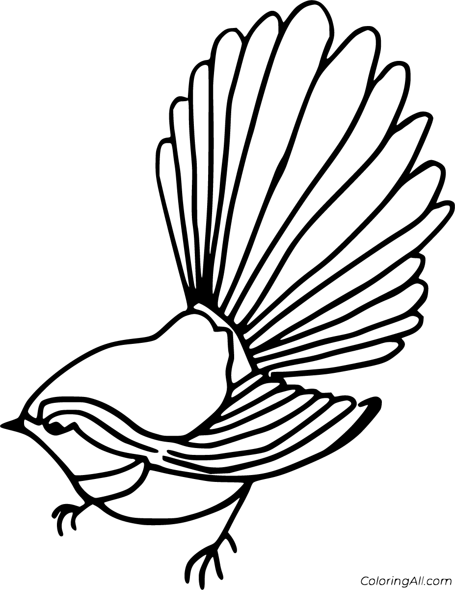 Fantail Coloring Pages - ColoringAll
