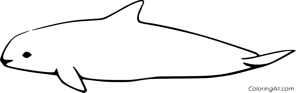 Porpoise Coloring Pages - ColoringAll