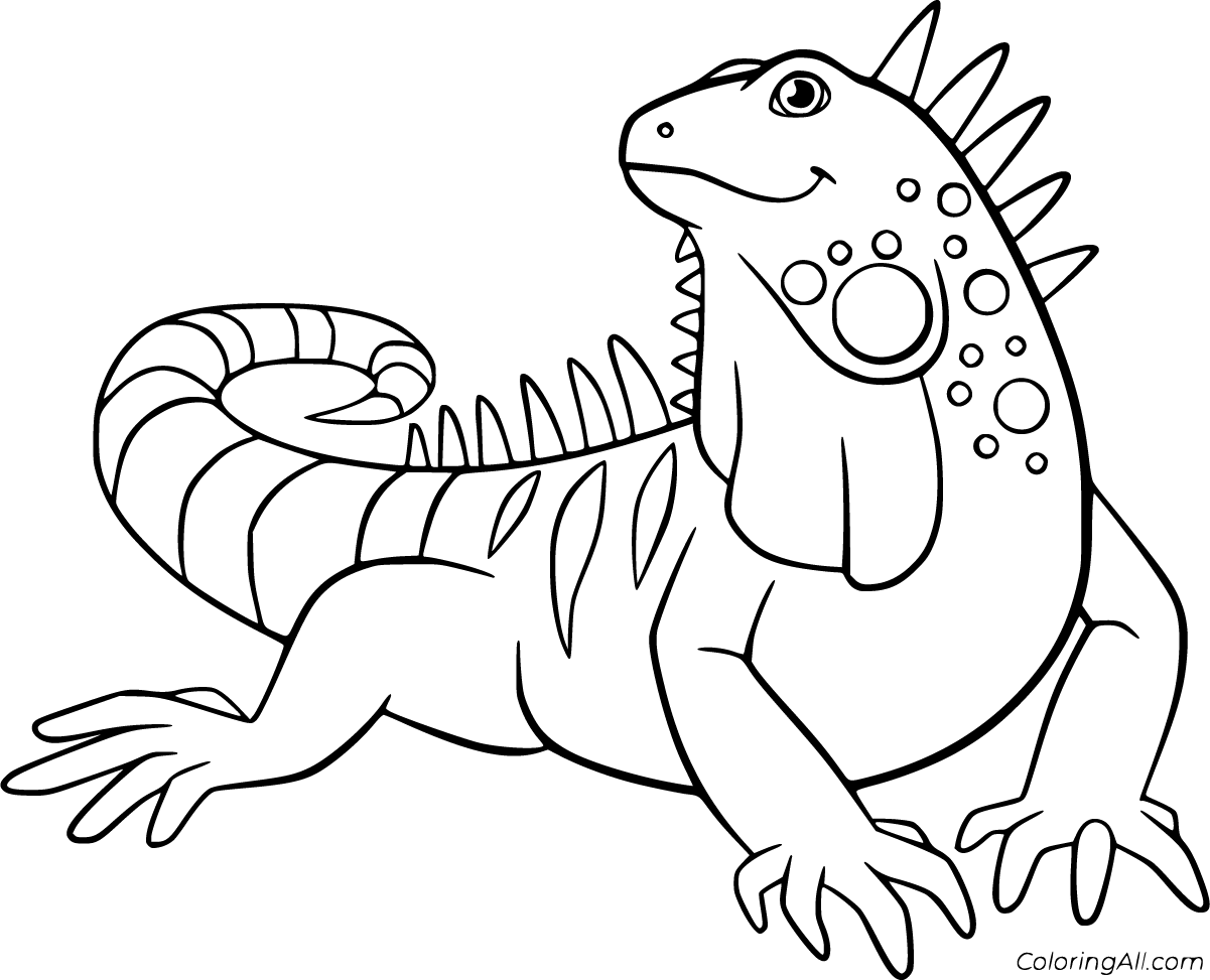 Download Iguana Coloring Pages - ColoringAll