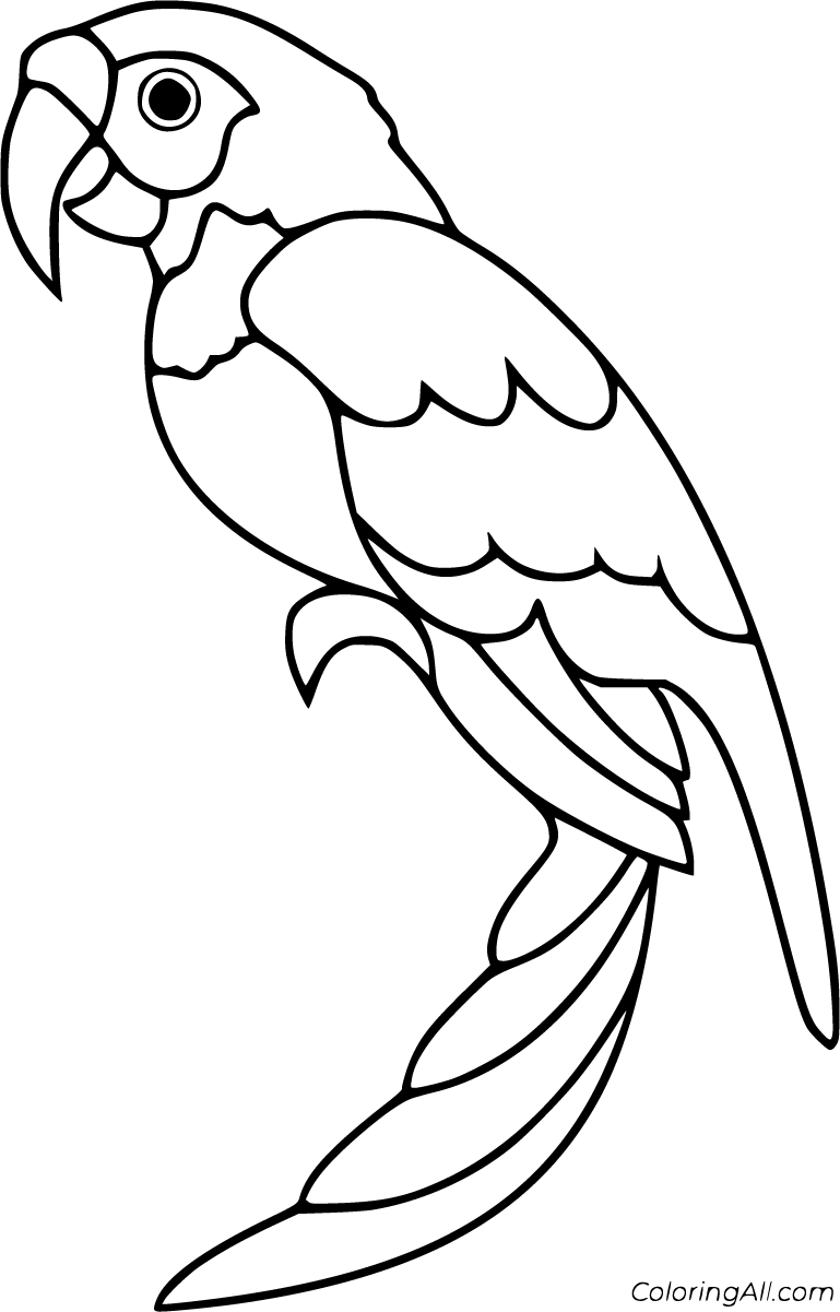 Parrot Coloring Pages (25 Free Printables) - ColoringAll