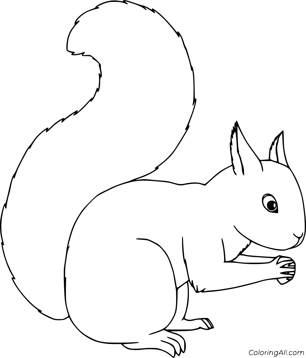 Top 25 Free Printable Squirrel Coloring Pages Online | MomJunction