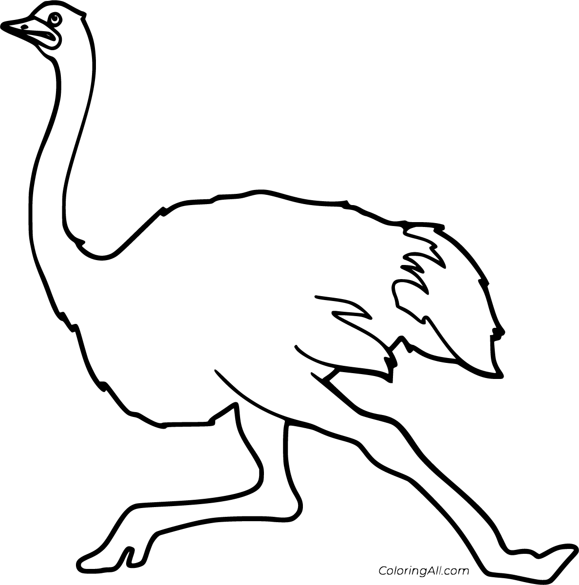 Common Ostrich Cartoon Drawing - Ostrich Cartoon Drawing - Free Transparent  PNG Clipart Images Download