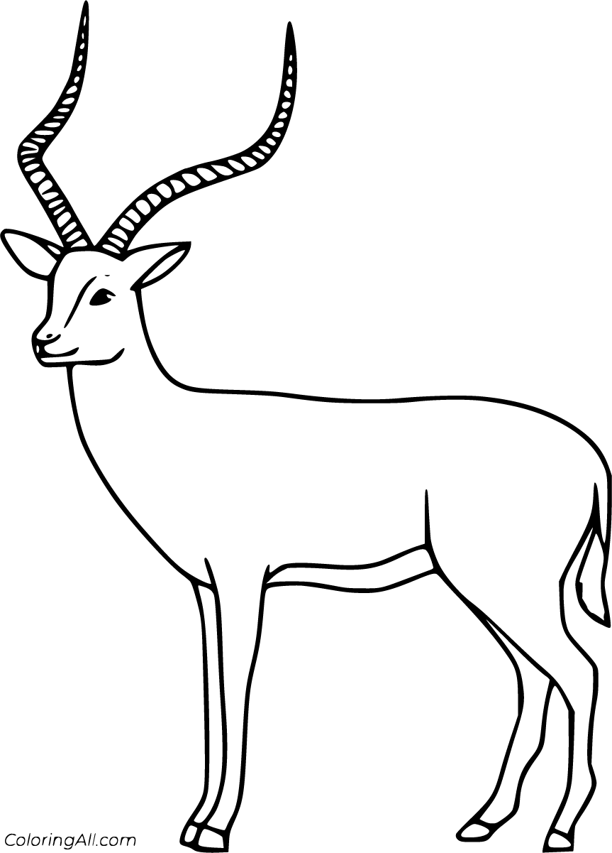 Impala Coloring Pages - ColoringAll