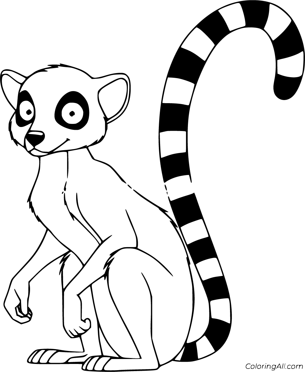 Lemur Drawings for Sale  Fine Art America