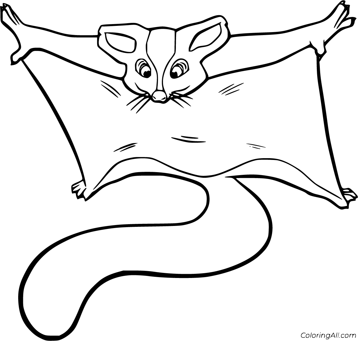 Sugar Glider Coloring Pages - ColoringAll