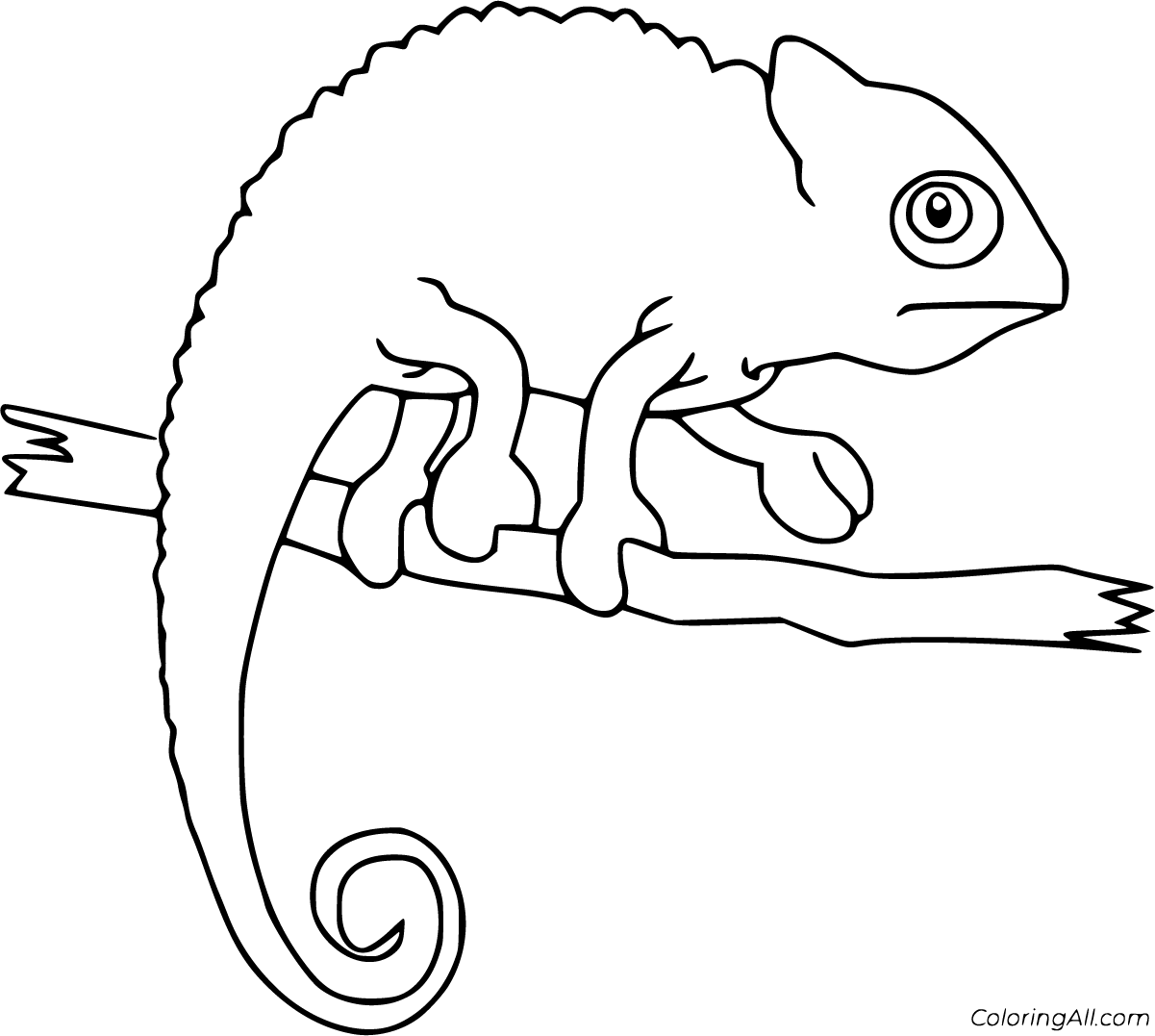 Chameleon Coloring Pages ColoringAll