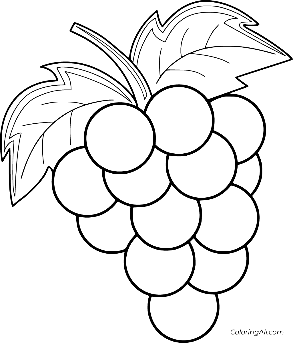 Indexme: Coloring Picture For Grapes