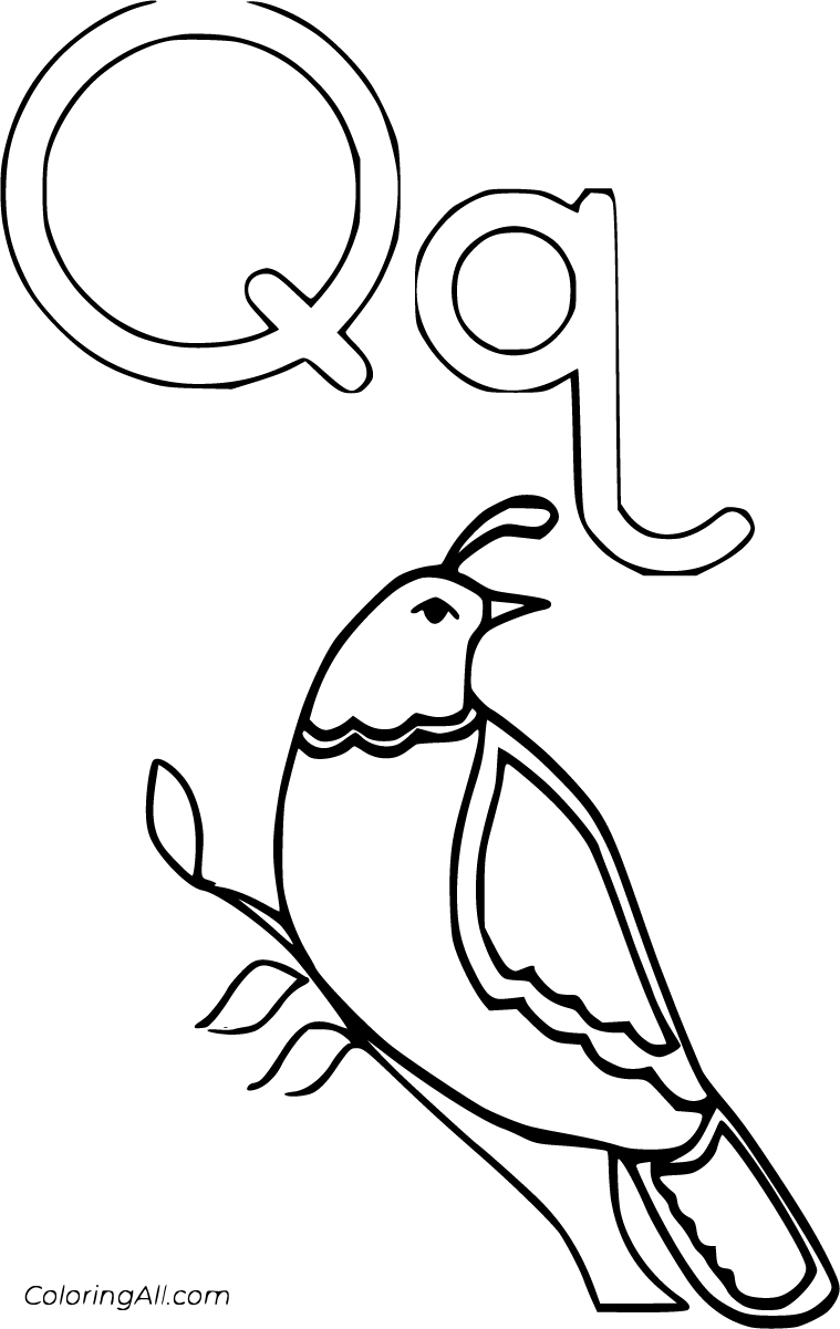 Letter Q Coloring Pages ColoringAll