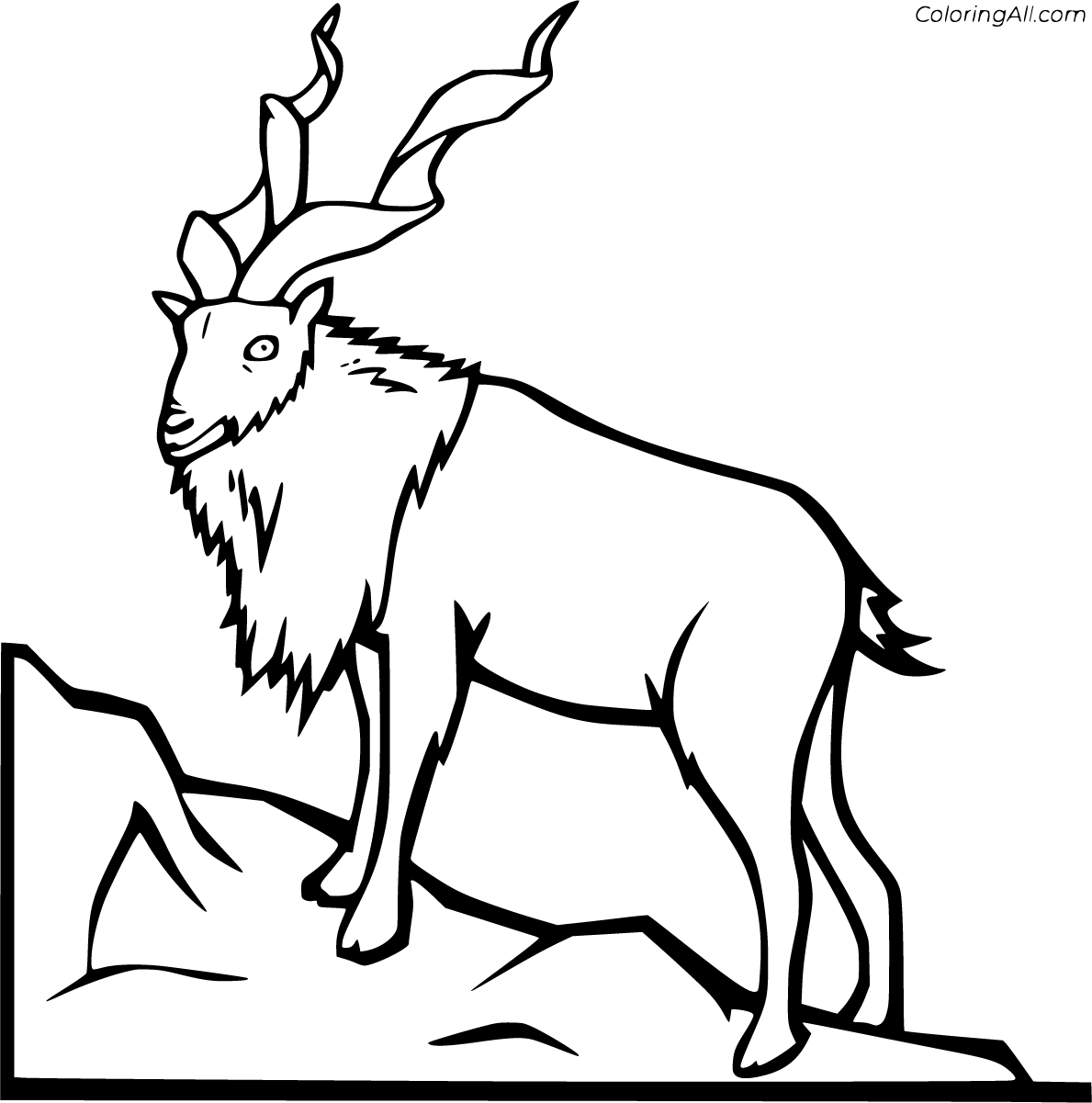 Горная коза раскраска
