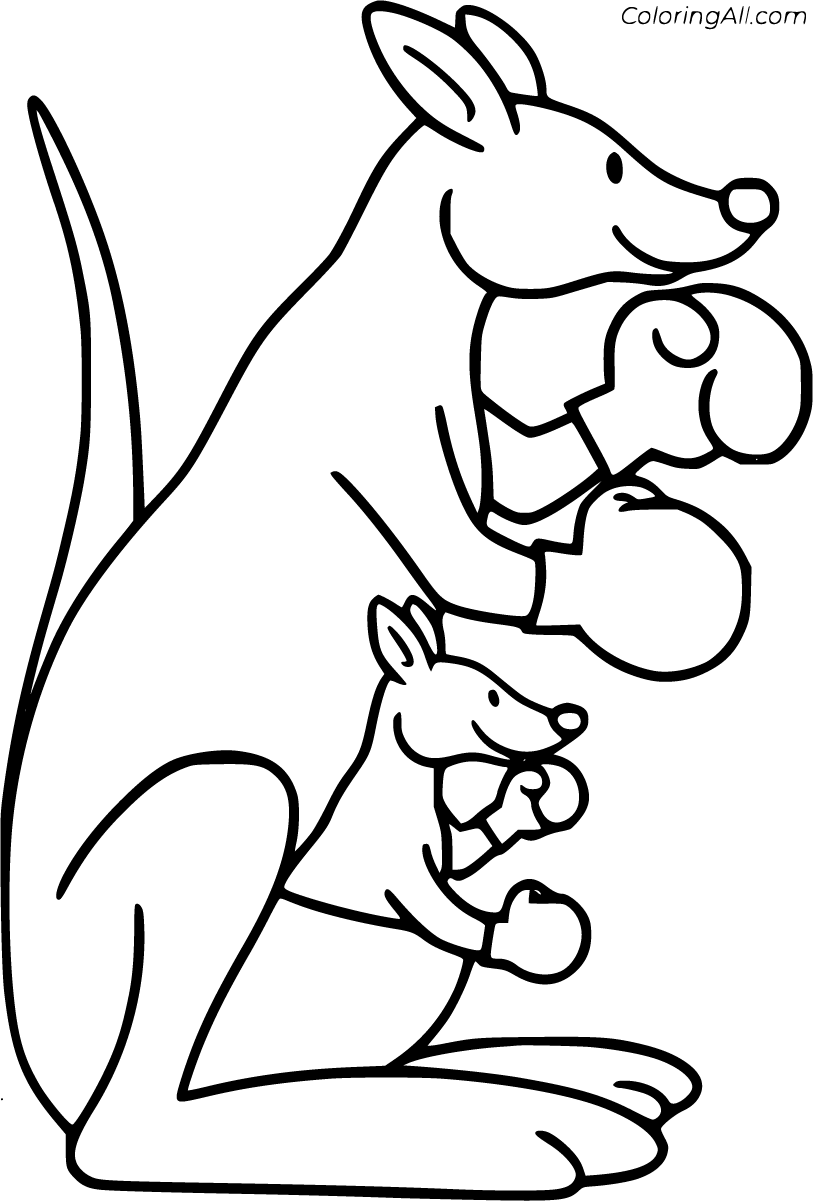 Download Kangaroo Coloring Pages - ColoringAll