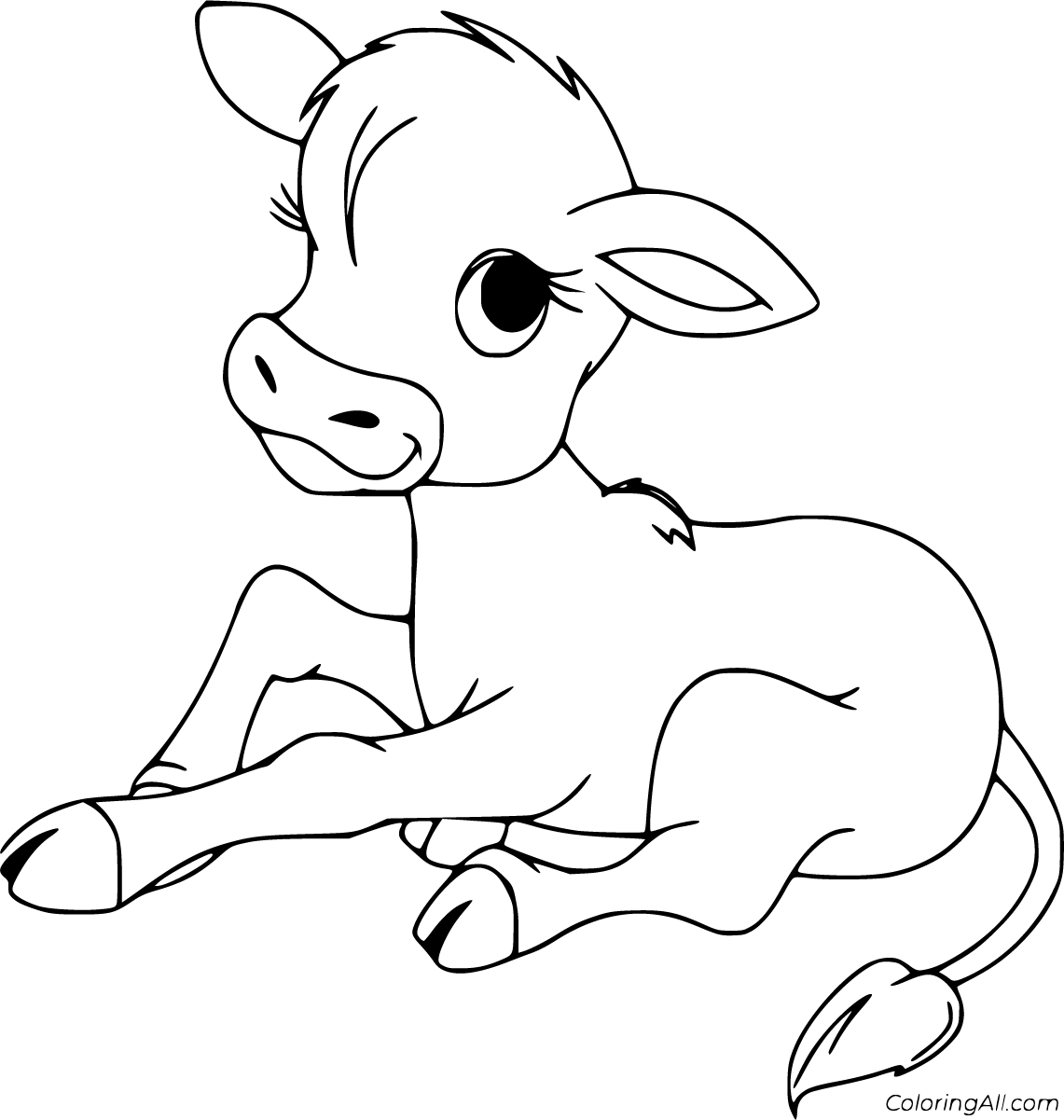 Free Printable Calf Coloring Pages