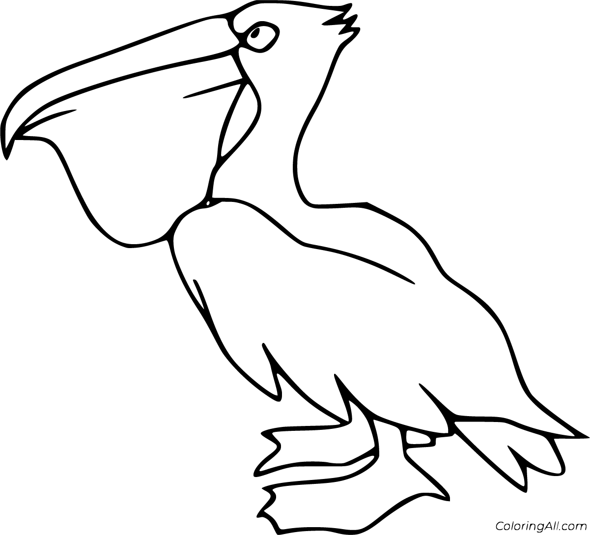 Pelican Coloring Pages - ColoringAll