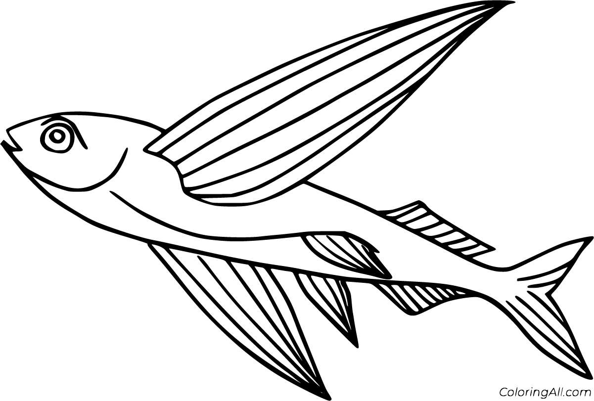 Flying Fish Coloring Pages (8 Free Printables) - ColoringAll