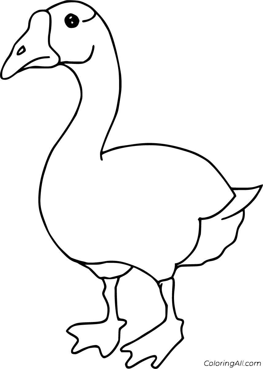 canadian goose coloring pages