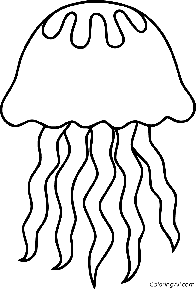 Jellyfish Coloring Pages   ColoringAll