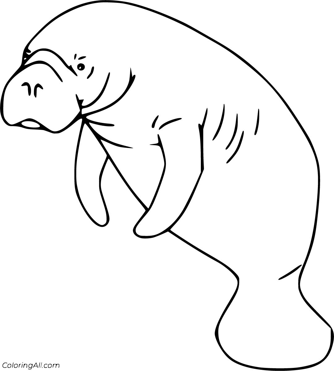 Manatee Coloring Pages - ColoringAll