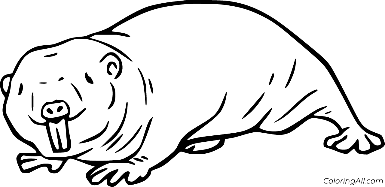 Naked Mole Rat Coloring Pages Free Printables Coloringall