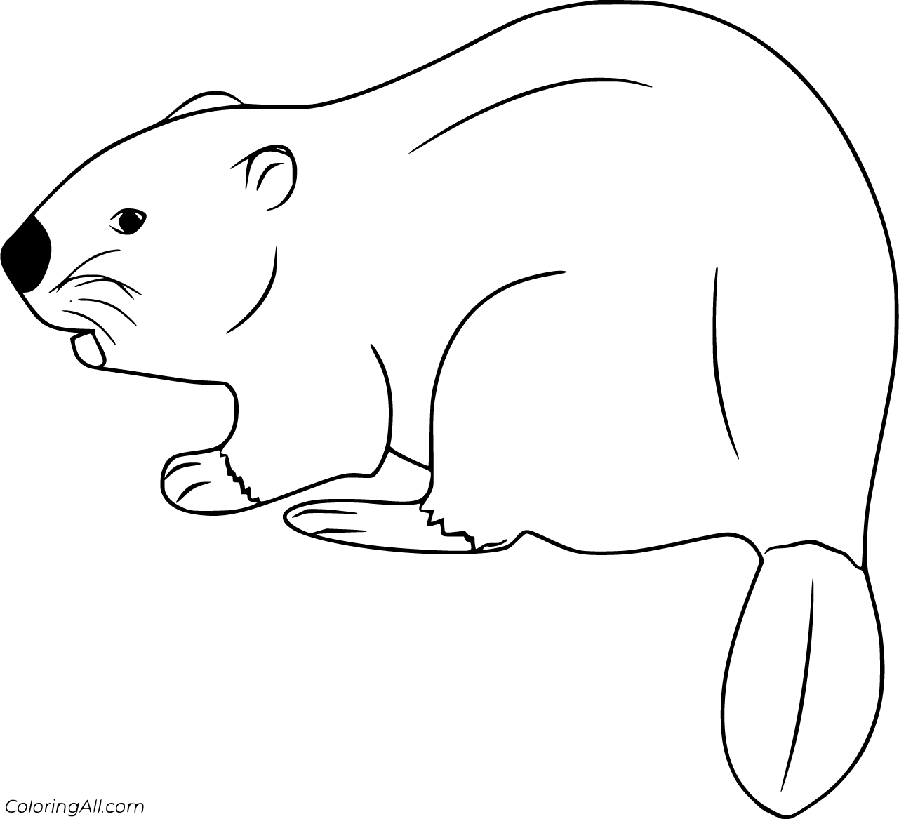 Beaver Coloring Pages - ColoringAll