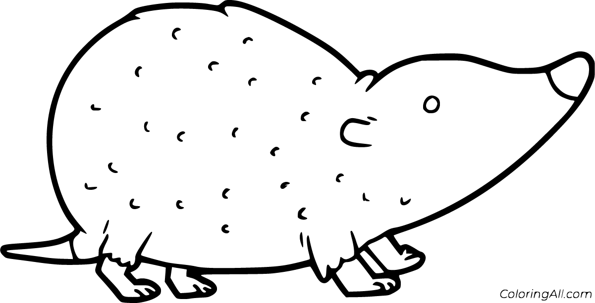 download-215-shrew-coloring-and-printable-page-coloring-pages-png-pdf-file