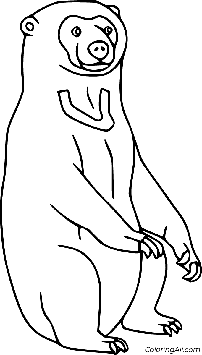 Sun Bear Coloring Pages - ColoringAll