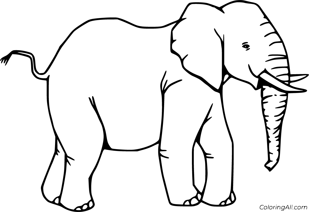 Download Realistic Elephant Coloring Pages - ColoringAll
