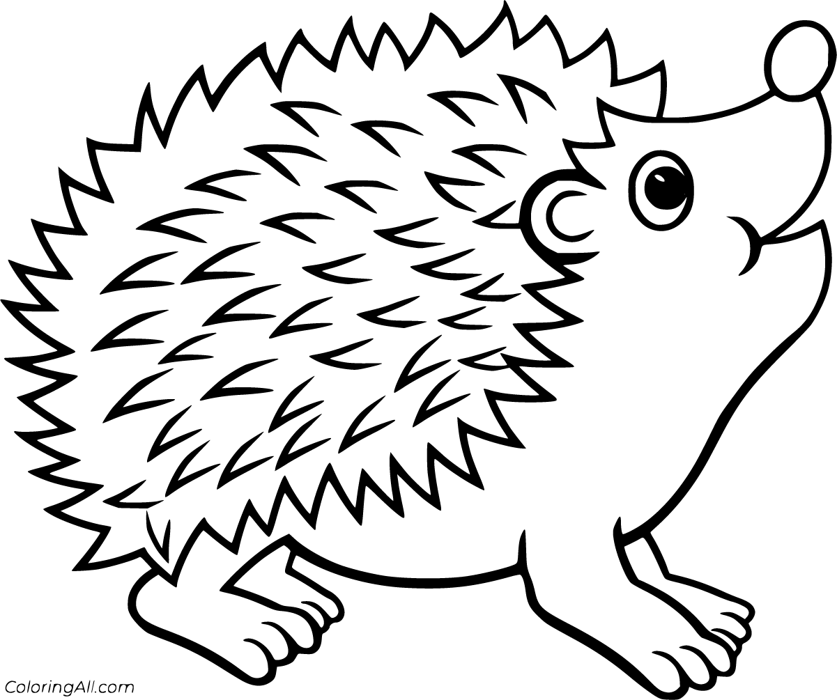 Hedgehog Coloring Pages ColoringAll