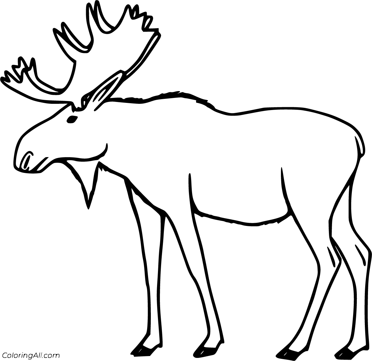 Moose Coloring Pages   ColoringAll