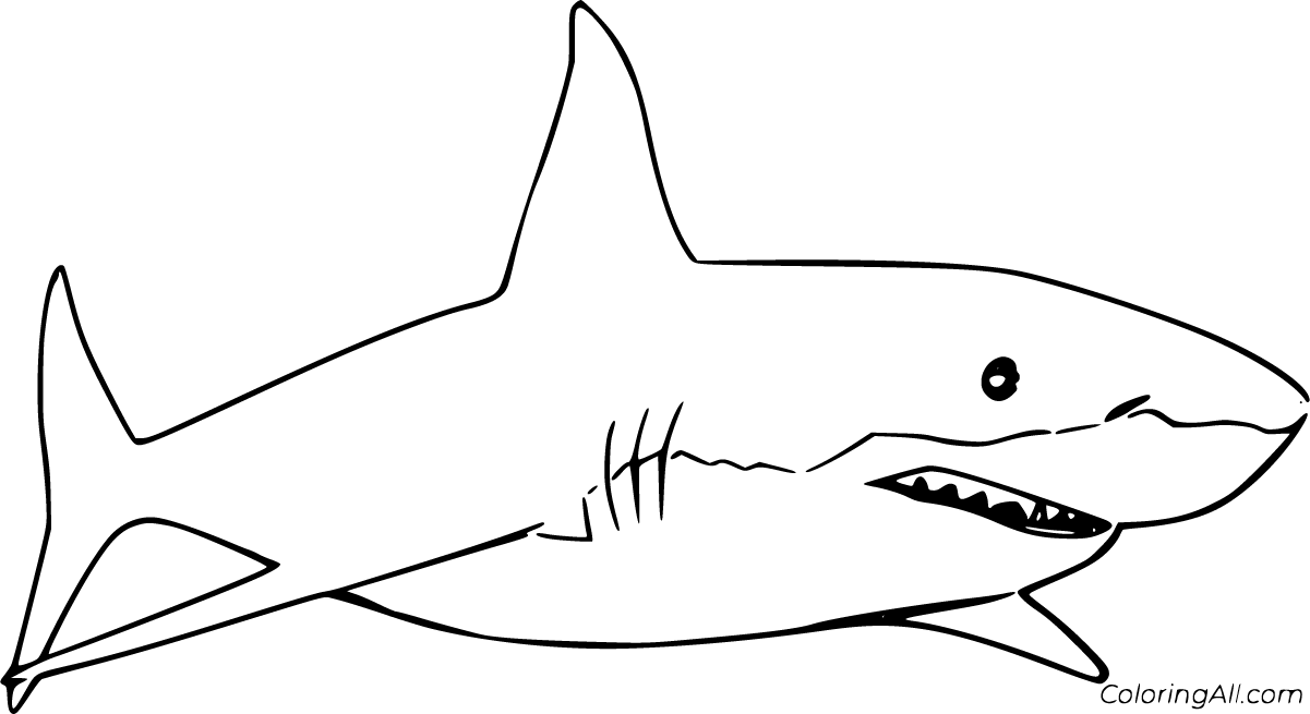 Great white shark coloring page 4