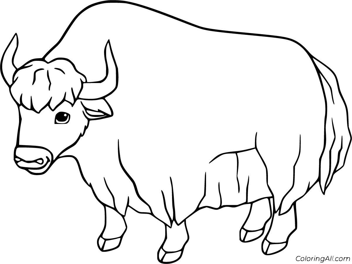 Yak Coloring Pages - ColoringAll
