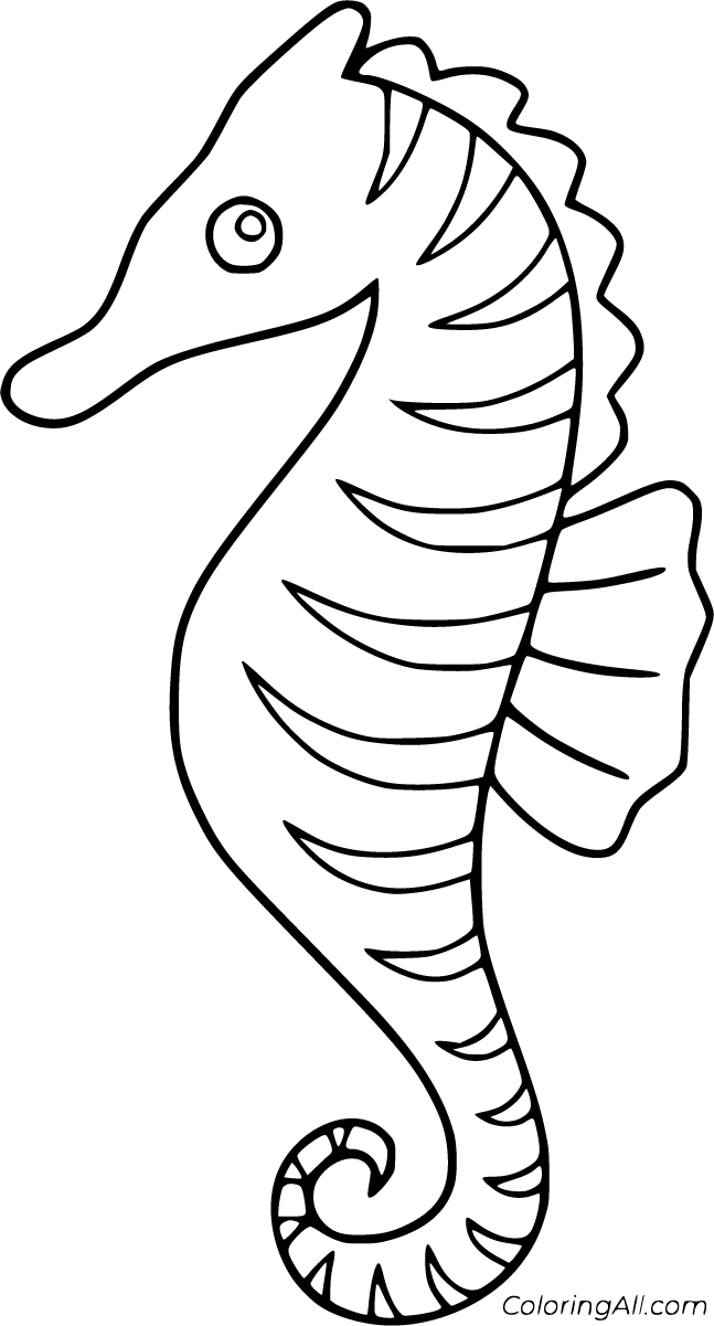 Seahorse Outline Printable