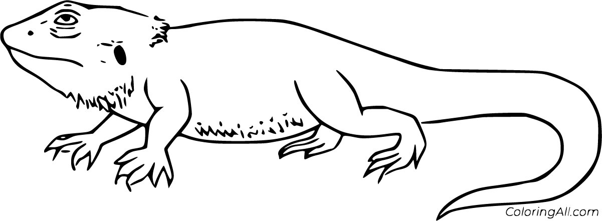 Bearded Dragon Coloring Pages - ColoringAll