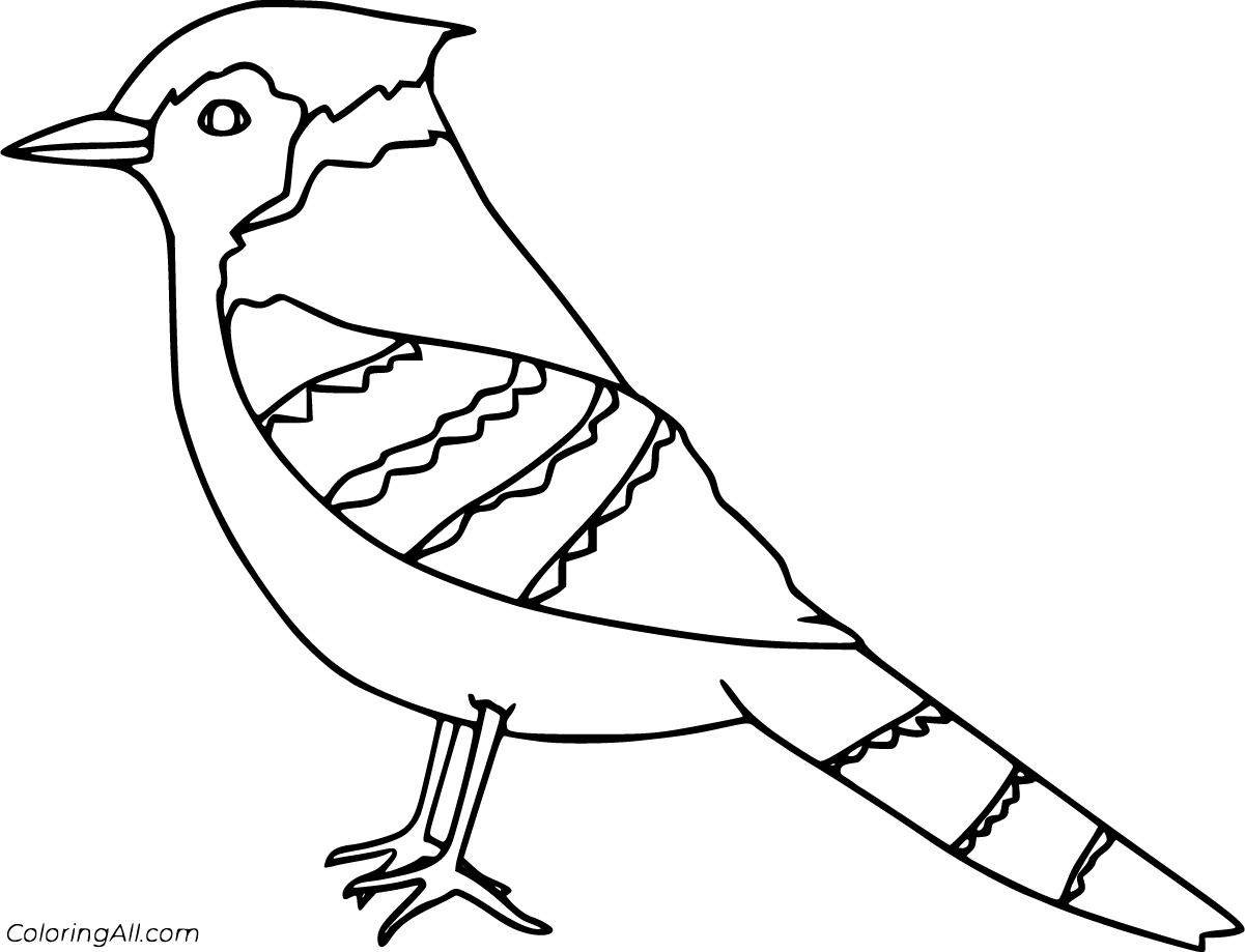 Blue Jay Coloring Pages - ColoringAll