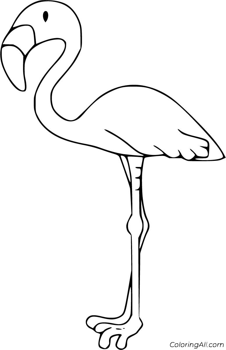 Printable Flamingo Coloring Pages Printable Flamingo Coloring Pages